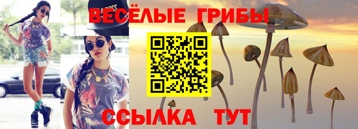 Галлюциногенные грибы MAGIC MUSHROOMS Кудымкар